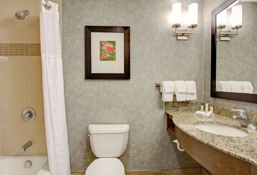 Номер Стандарт 2 Двуспальные Кровати, Hilton Garden Inn Charleston / Mt. Pleasant