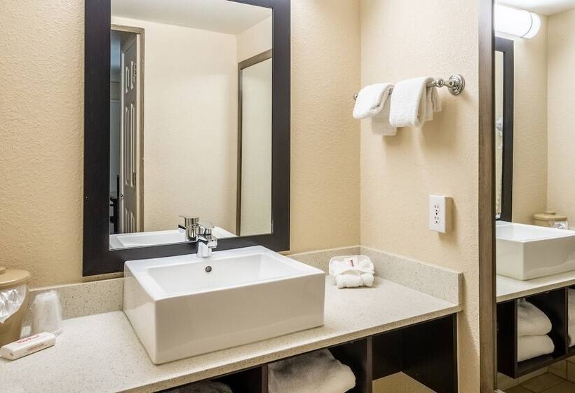 Номер Deluxe, Red Roof Inn Tampa Bay  St Petersburg