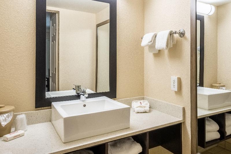 Номер Deluxe, Red Roof Inn Tampa Bay  St Petersburg