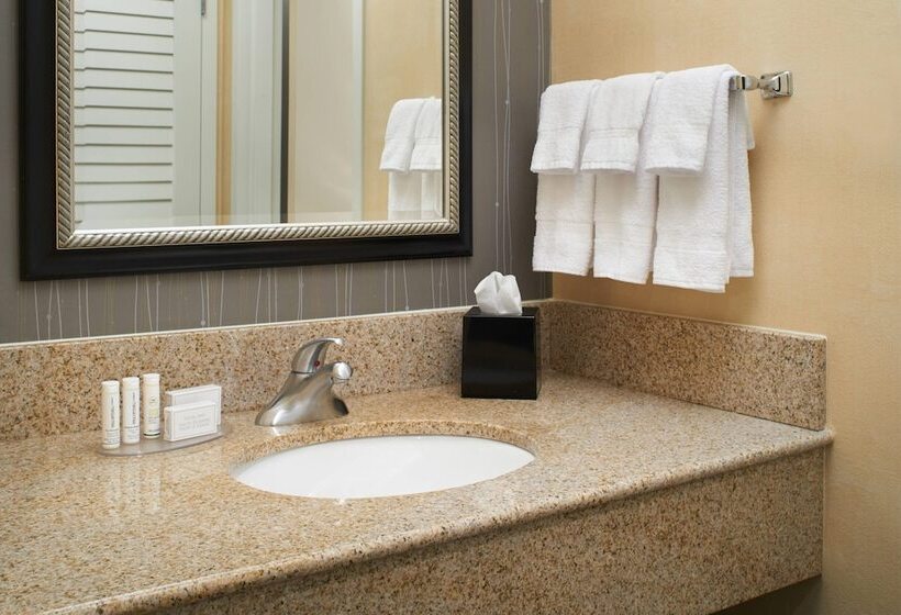 Suite, Courtyard By Marriott Rockford