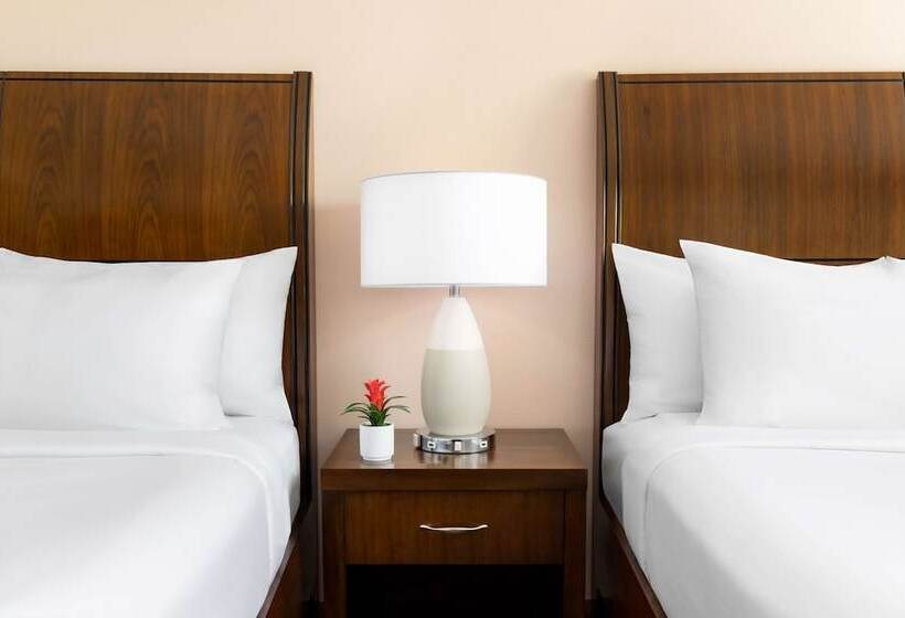 ２ダブルベッドのスタンダードルーム, Hilton Garden Inn Key West / The Keys Collection