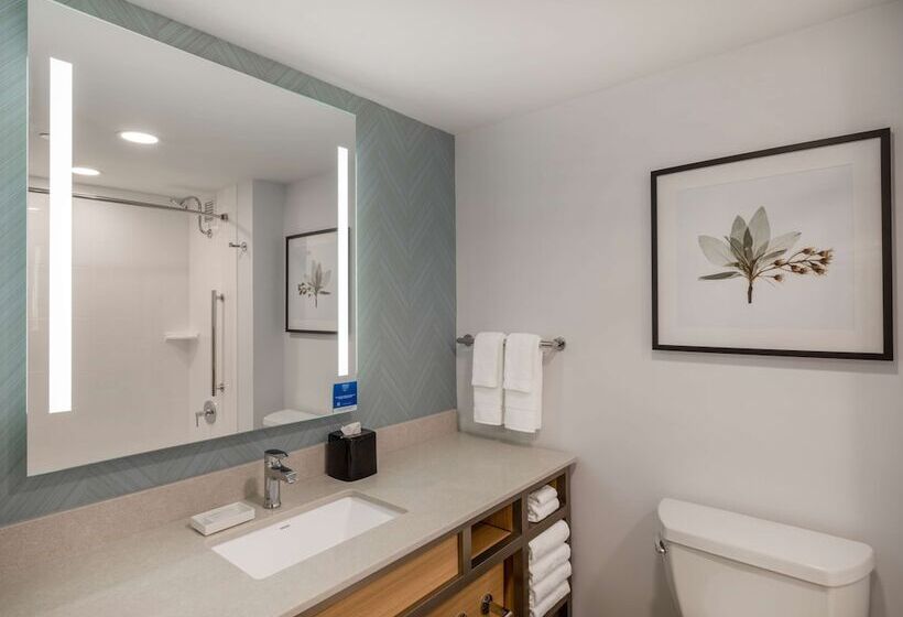Номер Стандарт 2 Двуспальные Кровати, Hilton Garden Inn Toledo Downtown