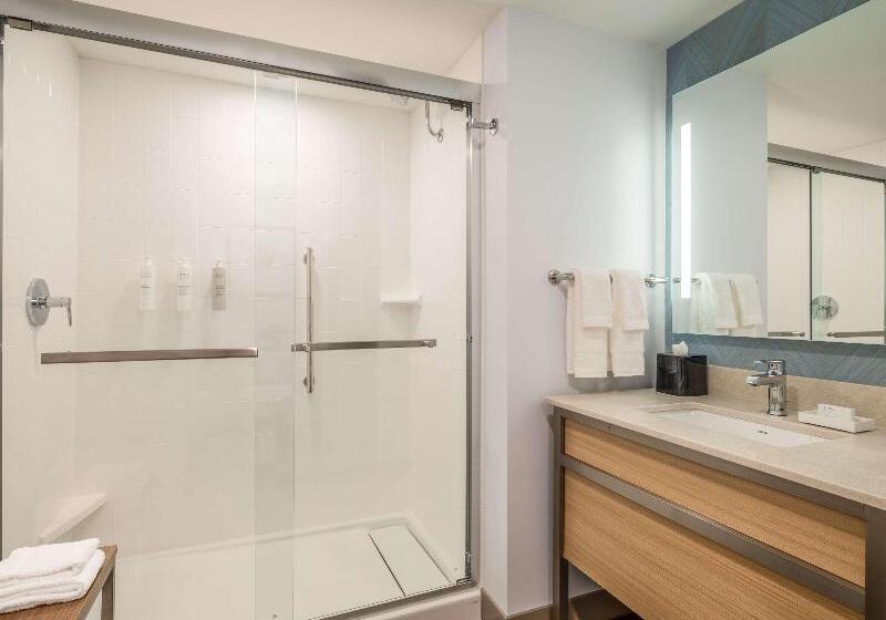 Стандартный Номер Кровать Кинг, Hilton Garden Inn Toledo Downtown
