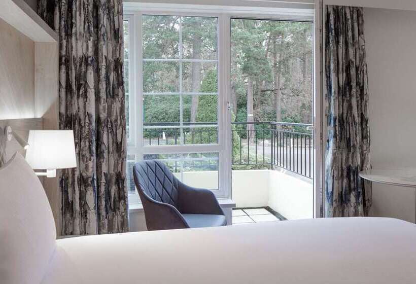Quarto Standard Cama King, Hilton Oakland Airport