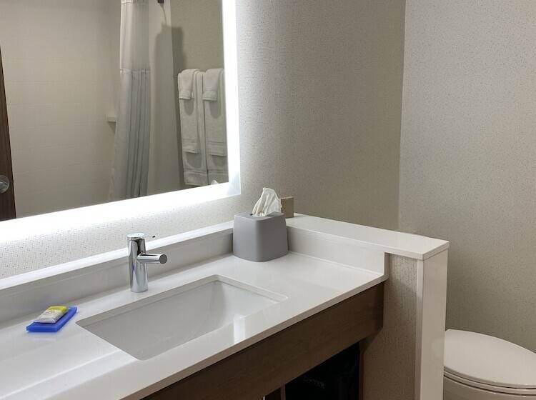 Номер Стандарт, Holiday Inn Express & Suites Chatsworth, An Ihg