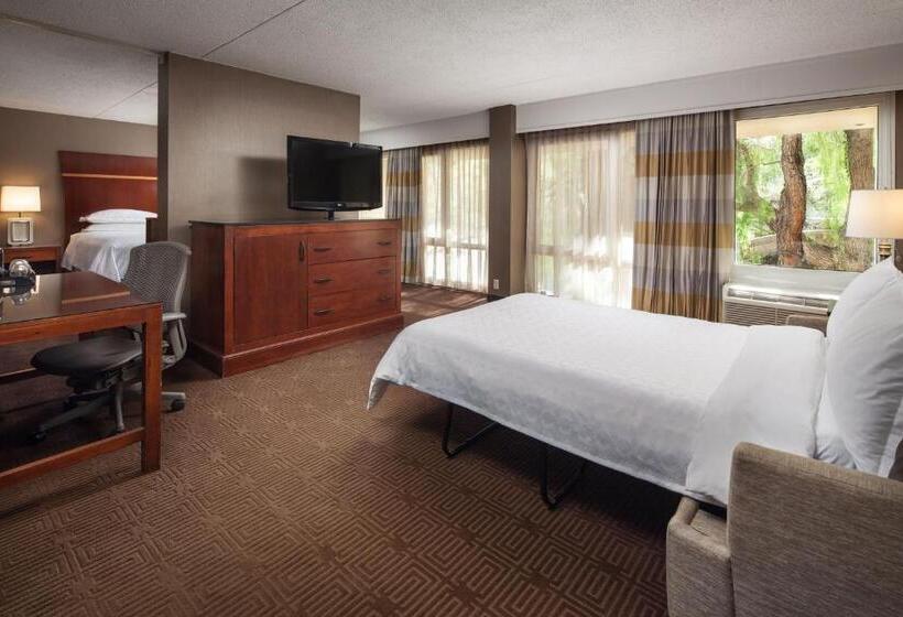 סטודיו סטנדרט, מיטה זוגית, Sheraton Agoura Hills