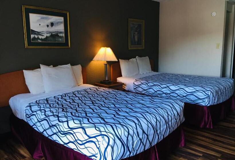 标准间, Bear Mount Inn & Suites
