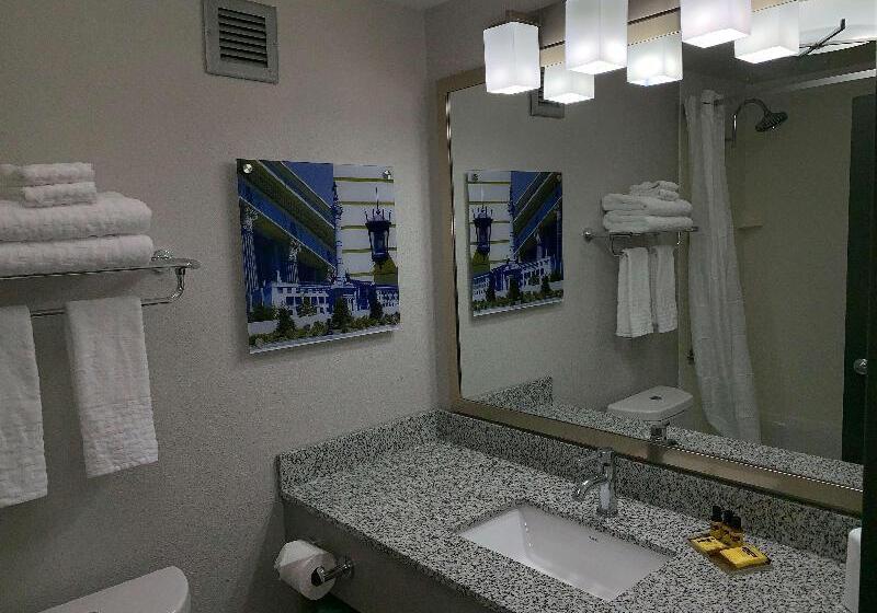 Люкс Адаптированный для Инвалидов, Best Western Plus Clarks Summit Scranton