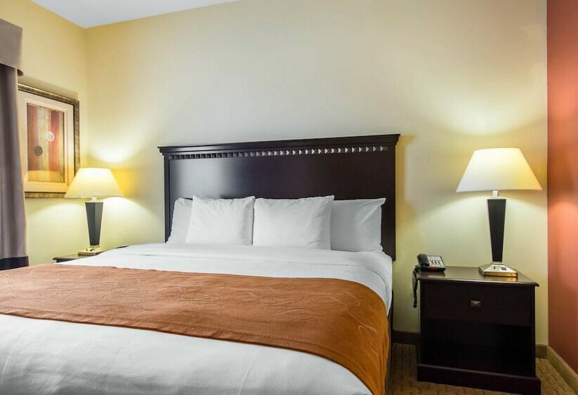 Люкс, Comfort Suites Cullman I65 Exit 310