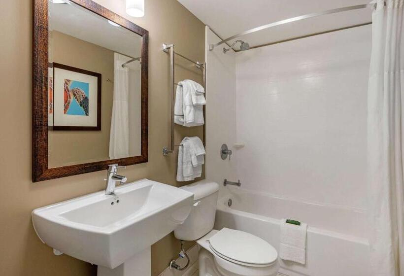 Номер Стандарт, Seafarer Inn & Suites, Ascend Hotel Collection