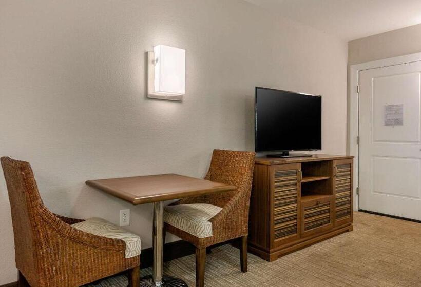 Номер Стандарт Кровать Кинг Адаптированный для Инвалидов, Seafarer Inn & Suites, Ascend Hotel Collection