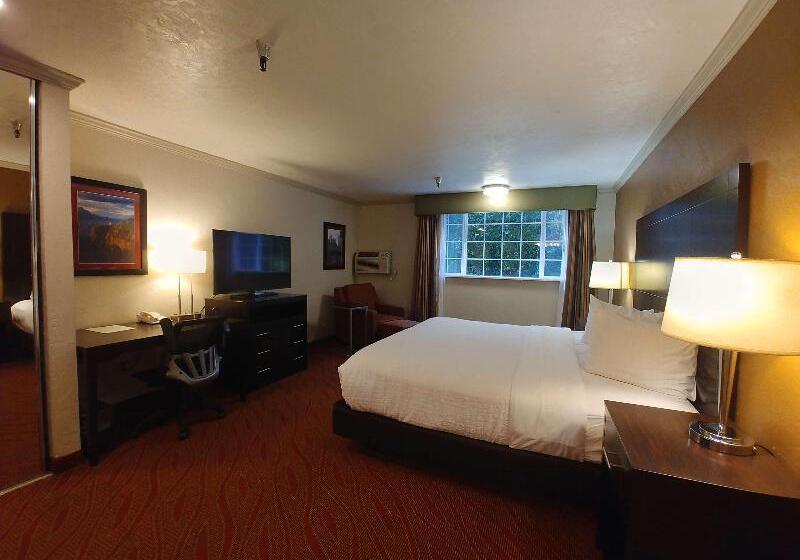 스탠다드 룸, Best Western Plus Parkway Inn