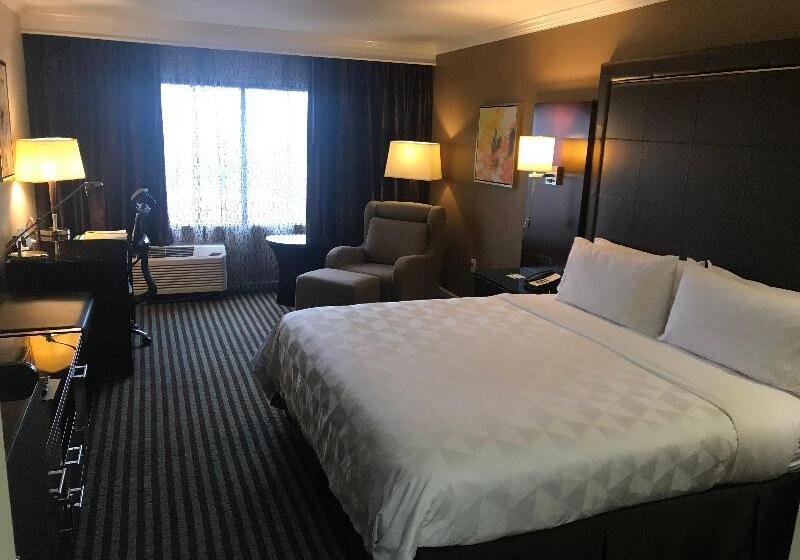 장애인을 위한 킹사이즈 침대 스탠다드 룸, Holiday Inn Orlando East Ucf Area, An Ihg