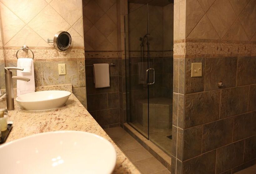 Номер Премиум, The Omni Grove Park Inn & Spa   Asheville
