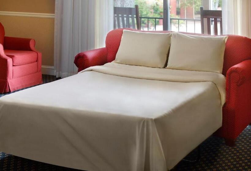 스탠다드 룸 킹사이즈 침대, The Inn at Stone Mountain Park