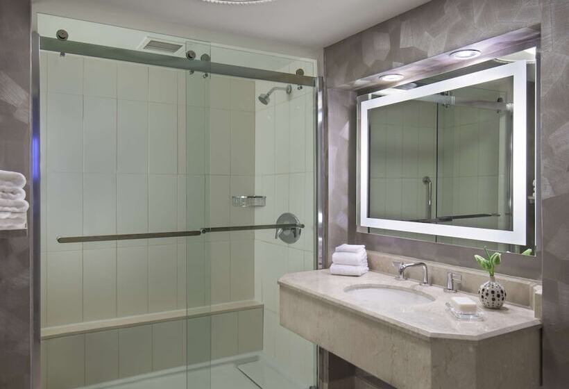 استودیوی استاندارد با تخت دوبل, Hilton Washington Dc Capitol Hill