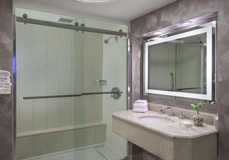 اتاق استاندارد با تخت بزرگ, Hilton Washington Dc Capitol Hill