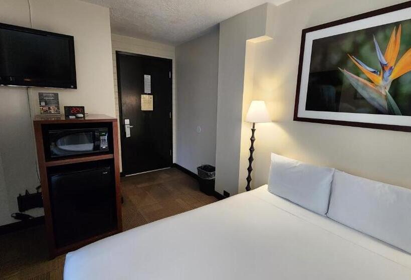 Номер Стандарт, Stay Hotel Waikiki