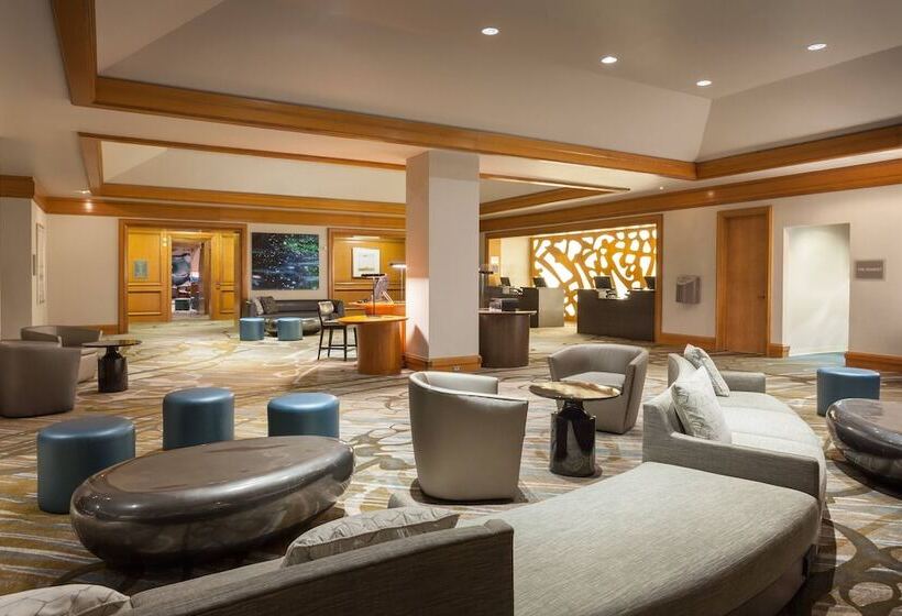 غرفه قياسيه سريرين مزدوجين, The Westin Tampa Waterside