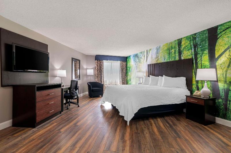 キングサイズベッドのスタンダードルーム, The Westin Tampa Waterside