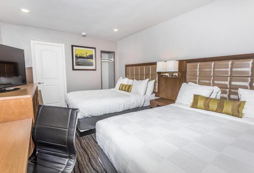 Quarto Standard Cama King, Sather Berkeley   Surestay Collection By Best Western