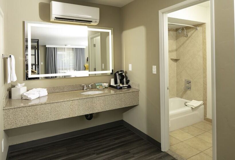 Family Suite, Waypoint