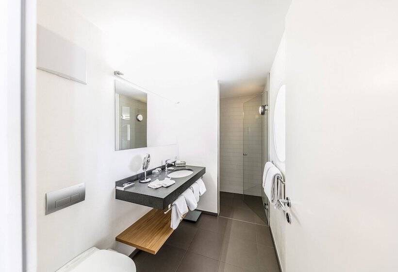 اتاق سوپریور, Engadiner Boutique Hotel Guardaval
