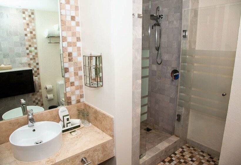 غرفة ديلوكس مطلّة علي البحر, Occidental Nuevo Vallarta
