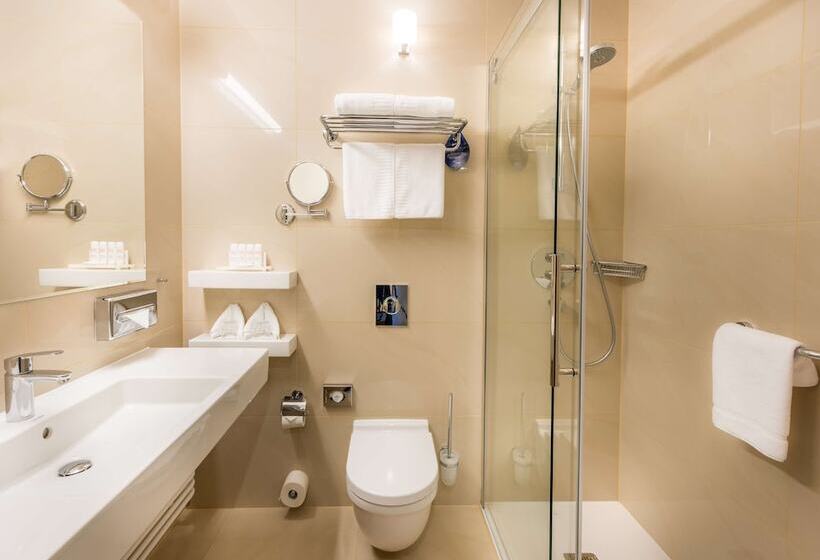 غرفة قياسية, Radisson Blu , Szczecin