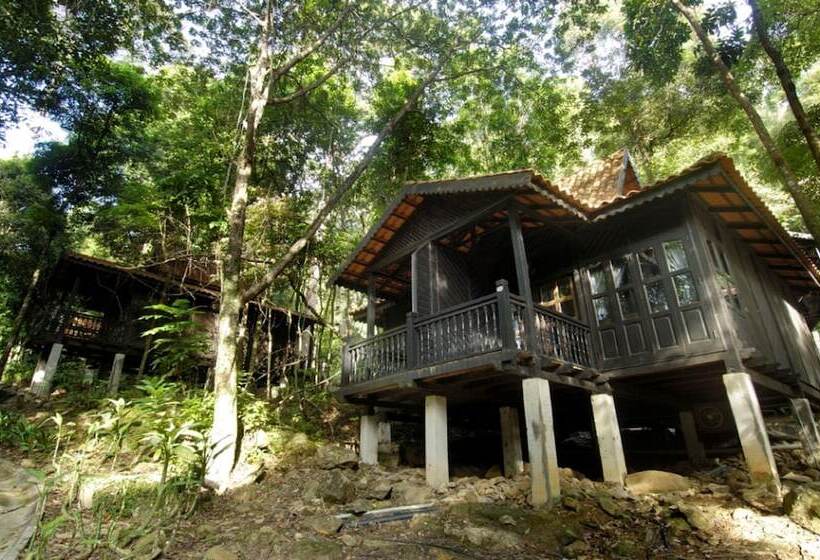 Студия Стандарт, Berjaya Langkawi Resort