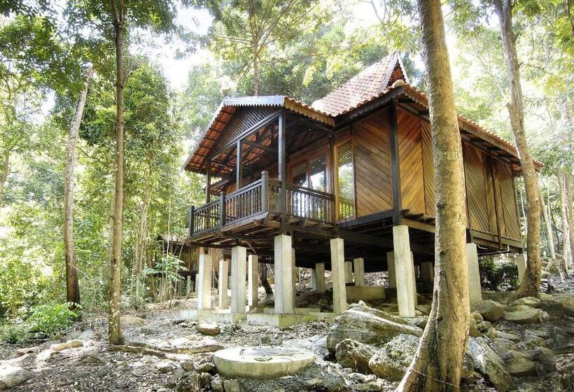 Студия Стандарт, Berjaya Langkawi Resort