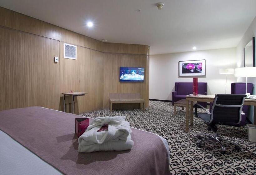 Полулюкс Кровать Кинг, Crowne Plaza Hotel Mexico City North Tlalnepantla, An Ihg