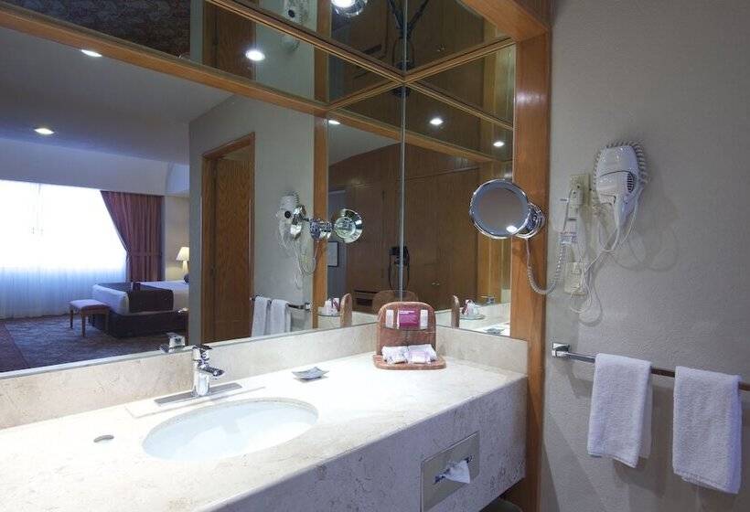 Номер Стандарт, Crowne Plaza Hotel Mexico City North Tlalnepantla, An Ihg