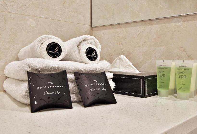 이그제큐티브 룸, Comfort Hotel Dandenong