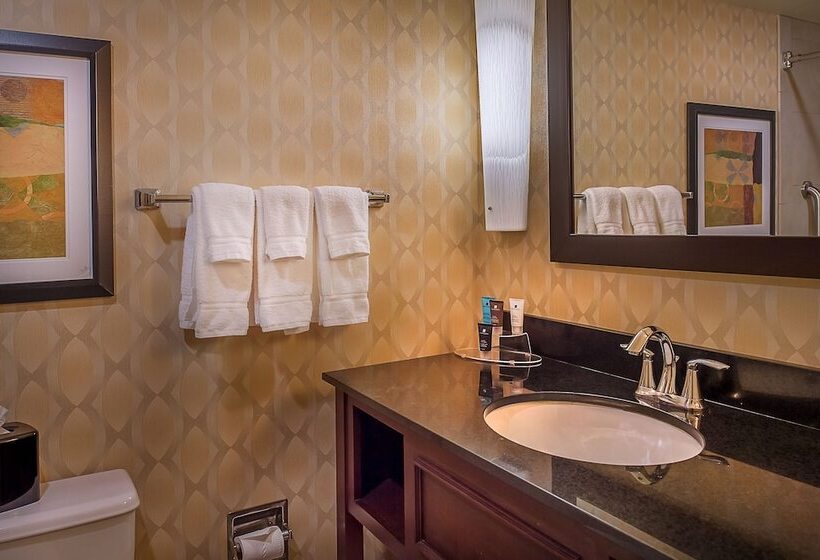 Номер Стандарт 2 Двуспальные Кровати, Crowne Plaza Hotel St. Louis Airport, An Ihg