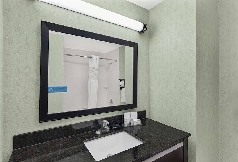 Quarto Estandar 2 Camas Casal, Hampton Inn Atlantatown Center/kennesaw