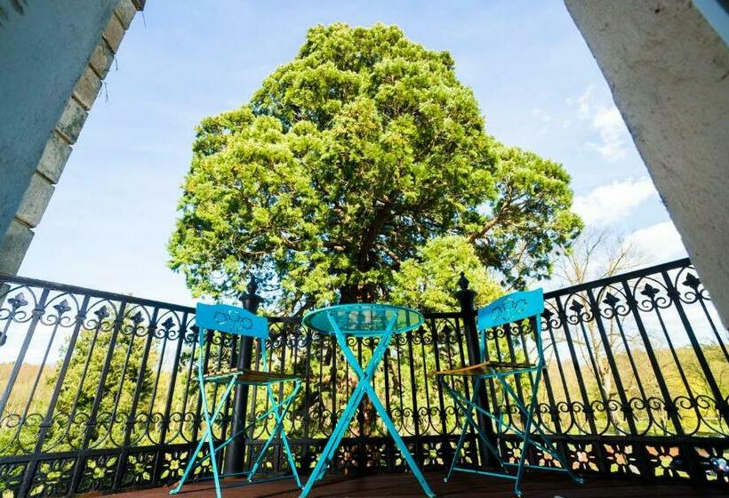Номер Стандарт, Schloss Kaarz Mit Park