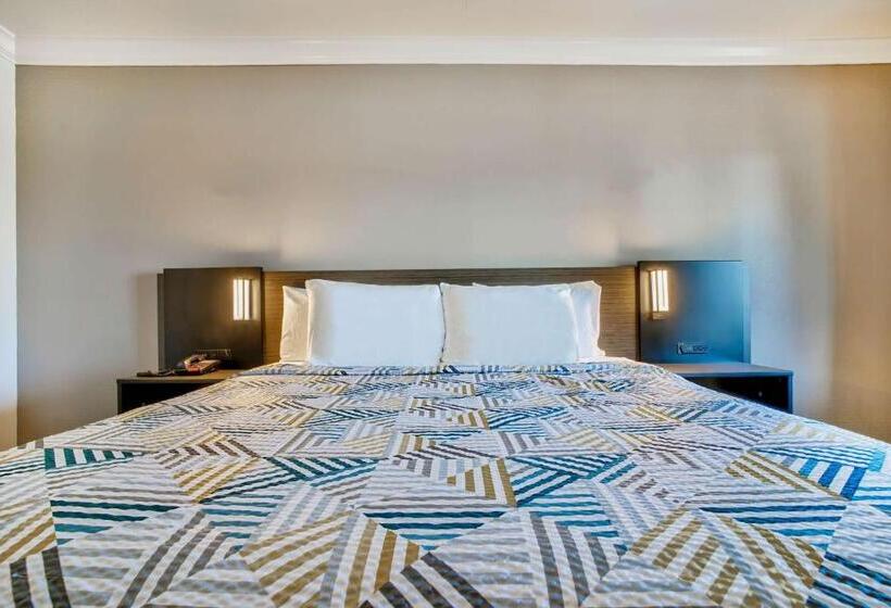 장애인을 위한 스탠다드 룸, Motel 6 Menifee, Ca
