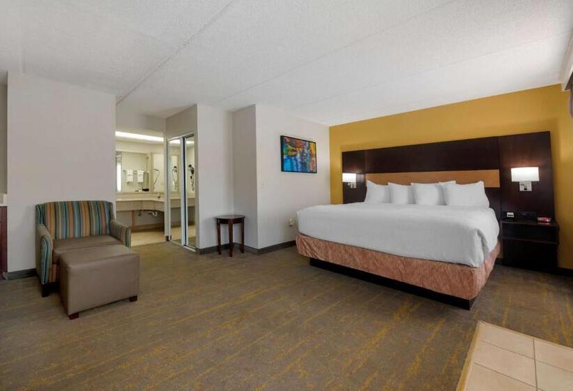Стандартный Номер Кровать Кинг, Best Western Inn Of Palatka