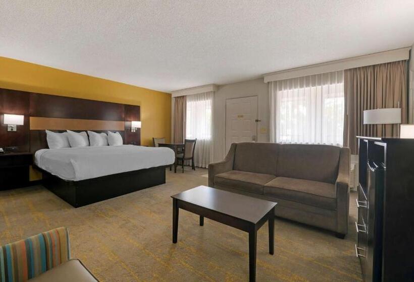 Люкс Кровать Кинг, Best Western Inn Of Palatka