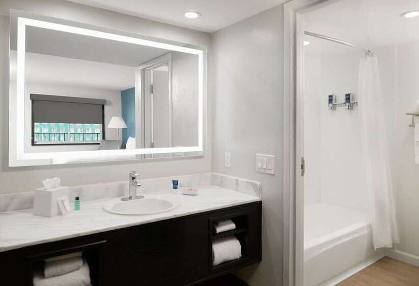 带2个双人床的标准工作室, Four Points By Sheraton Anaheim