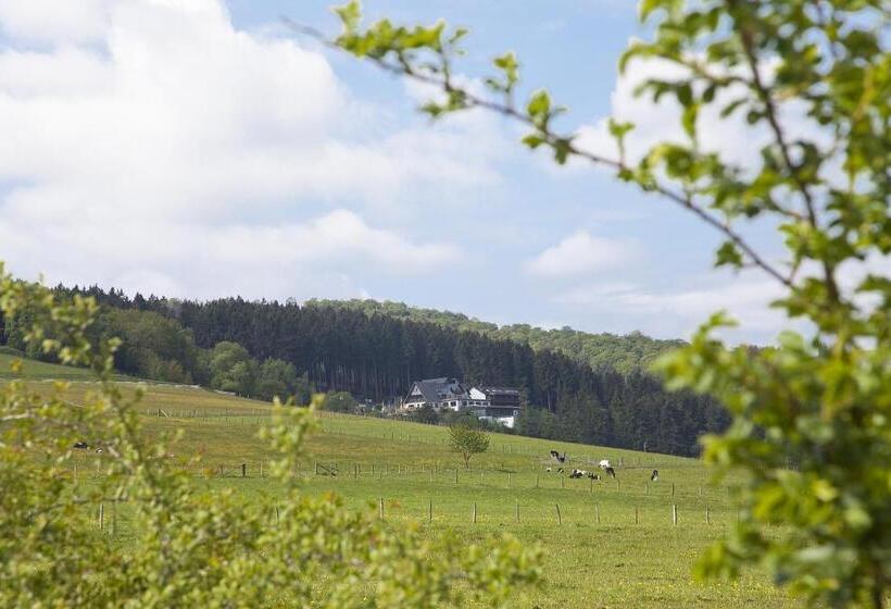 Семейный Номер, Wald Hotel Willingen
