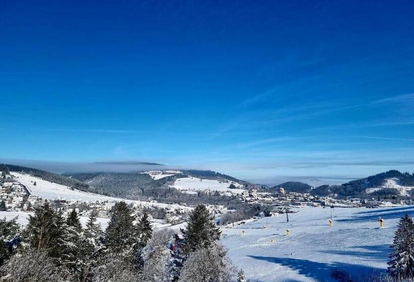 Номер Deluxe с Балконом, Wald Hotel Willingen