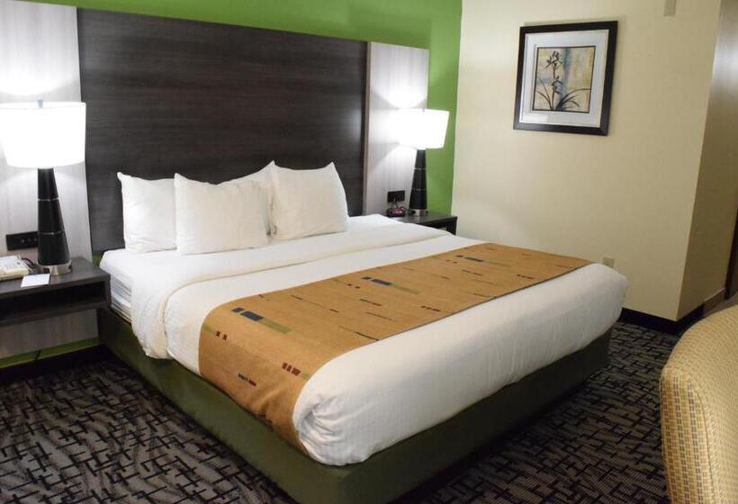 Номер Стандарт Кровать Кинг Адаптированный для Инвалидов, Best Western Crown Inn & Suites   Batavia