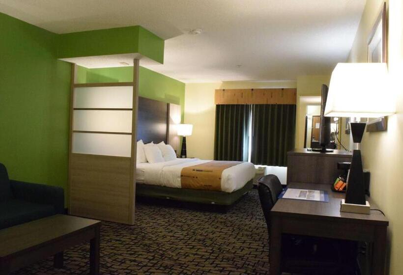Люкс Кровать Кинг, Best Western Crown Inn & Suites   Batavia