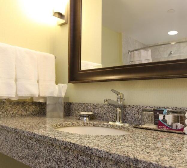 Номер Стандарт, Crowne Plaza Lansing, An Ihg