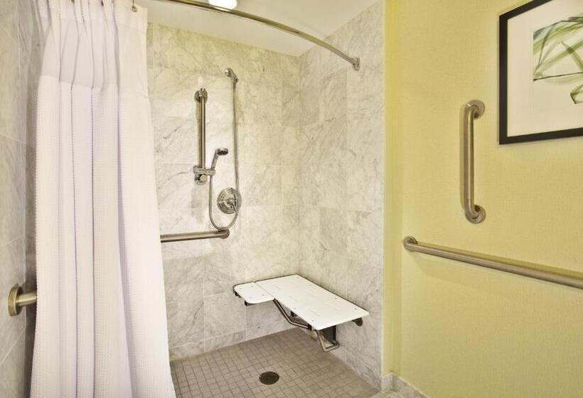 Номер Стандарт Кровать Кинг Адаптированный для Инвалидов, Crowne Plaza Lansing, An Ihg