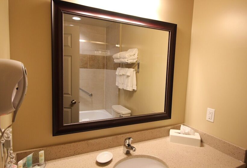 Номер Стандарт 2 Двуспальные Кровати, Quality Inn & Suites