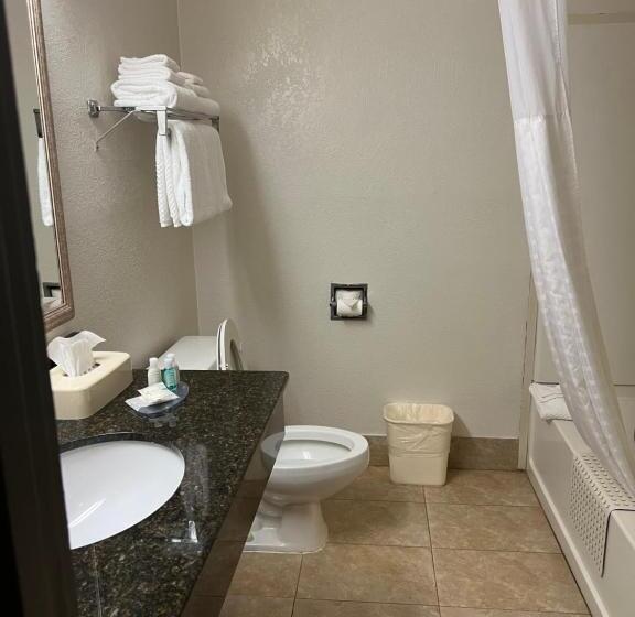 Люкс Кровать Кинг, Quality Suites Altavista   Lynchburg South