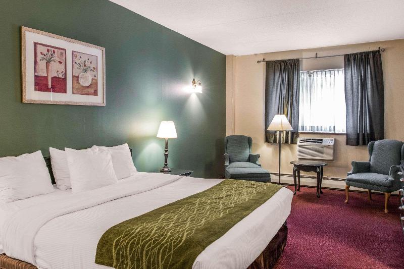 キングサイズベッドのスタンダードルーム, Rodeway Inn